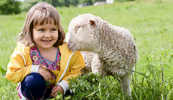 Фотоконкурс "Ребята и зверята"